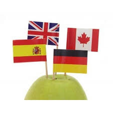 Ντεκόρ κοκτέιλ & παγωτού σημαίες χωρών 144τμχ.