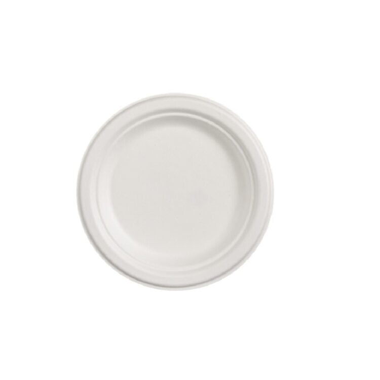 ΠΙΑΤΟ ΒΙΟ ΖΑΧΑΡΟ/ΜΟ 23cm 10x50τμχ