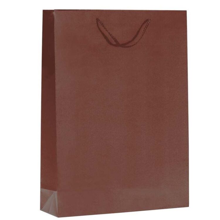 ΤΣΑΝΤΑ ΧΑΡΤΙΝΗ  ΠΛΑΣΤ/ΕΝΗ ΔΙΠΛΗ ΠΟΤΟΥ ΜΑΤ ΚΟΡΔΟΝΙ 40x24x10cm ΔΙΑΦΟΡΑ ΧΡΩΜΑΤΑ