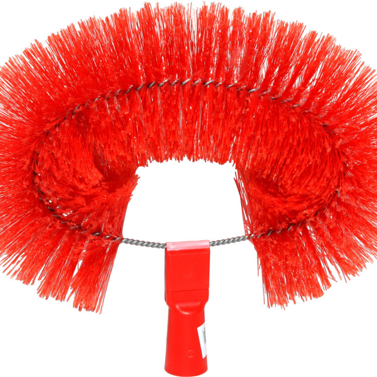 Ξαραχνιάστρα Οβάλ Labico