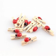 Μανταλάκι ξύλινο με πασχαλίτσα σετ 48τμχ